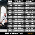 Gold BJJ Valiant Gi