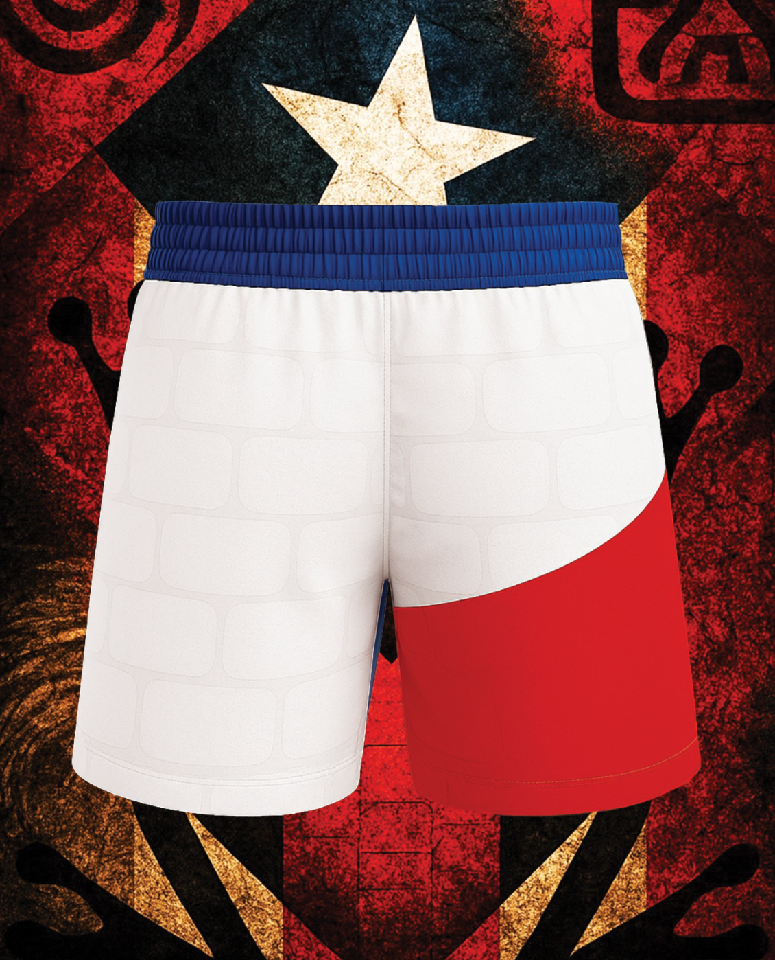 Puerto Rico Shorts